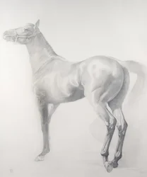 Kicking Off, Series 3, 2011